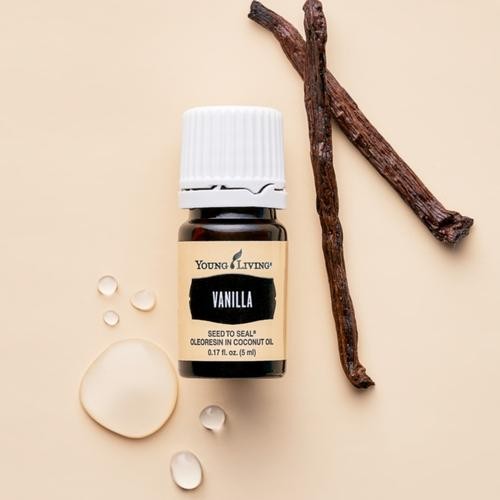 Vanilla Essential Oil 5ml / Essential Oil / 5ml / Vanilla